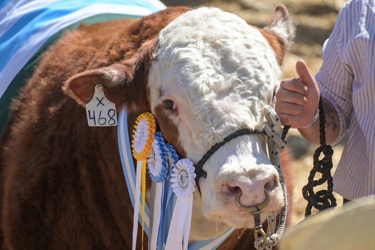 Imagen de La Expo Rural Gualeguaychú prepara la 133° edición