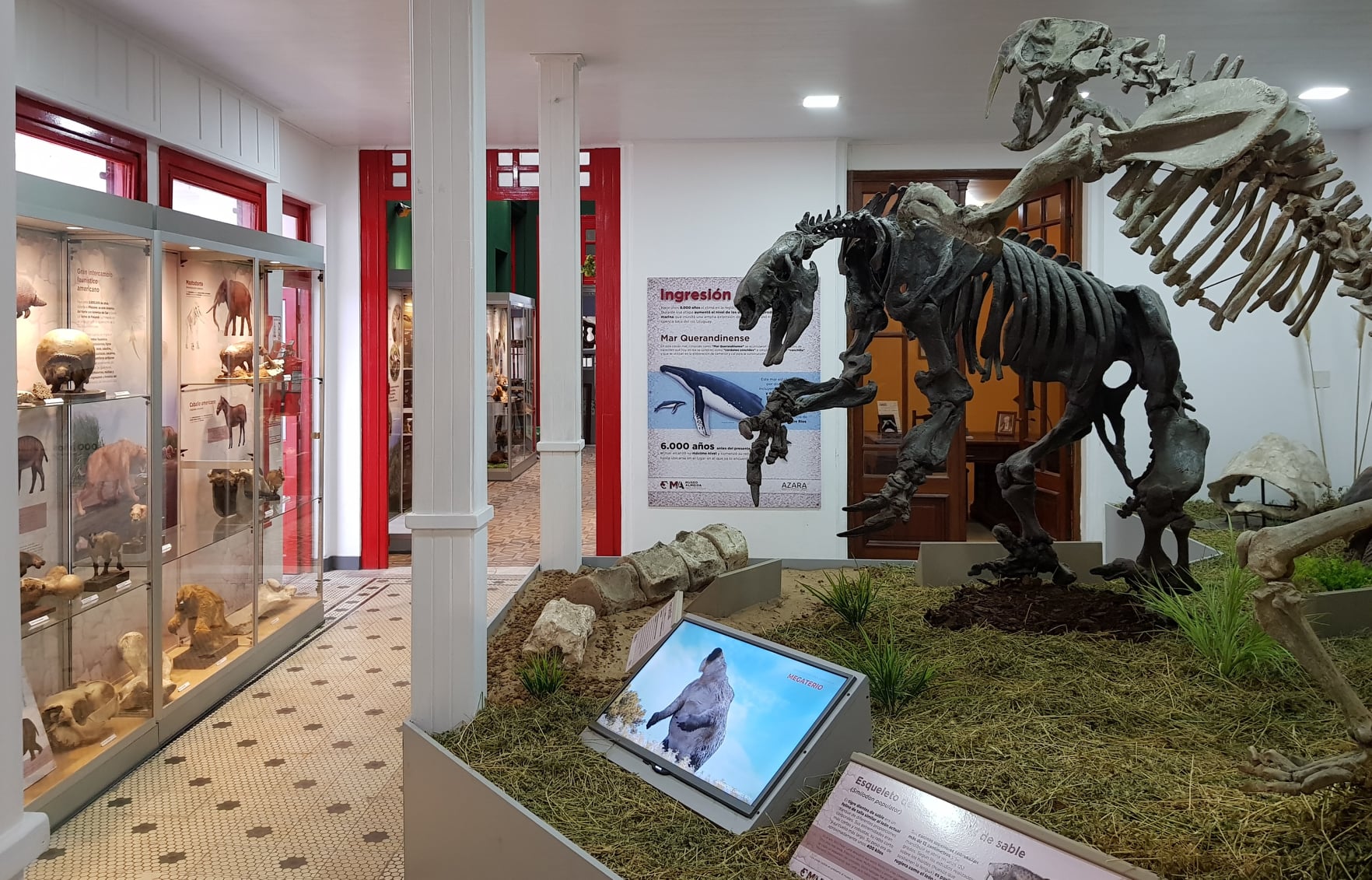 Museo de Ciencias Naturales y Arqueolog&iacute;a &ldquo;Prof. Manuel Almeida&rdquo;