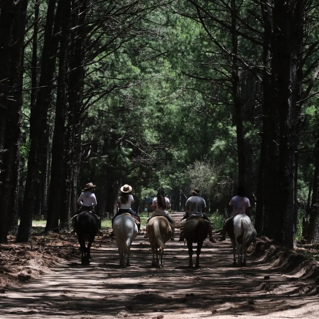 &Ntilde;andubaysal | Balneario - Camping