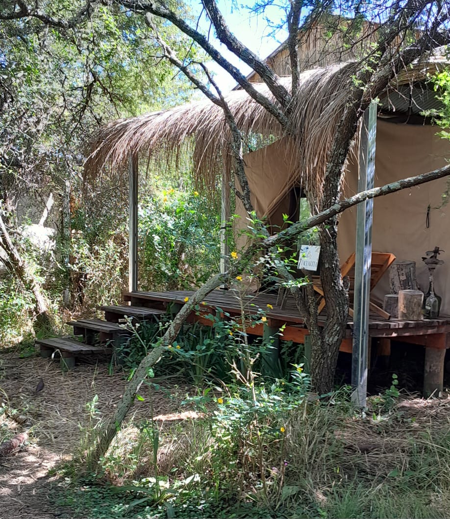 Imagen de Glampings/Tiendas Senderos Del Monte