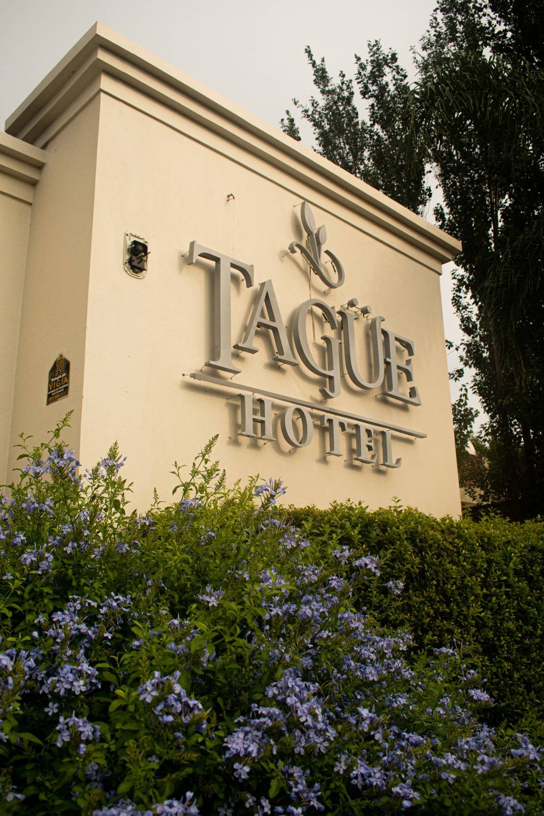 Hotel Tagüé