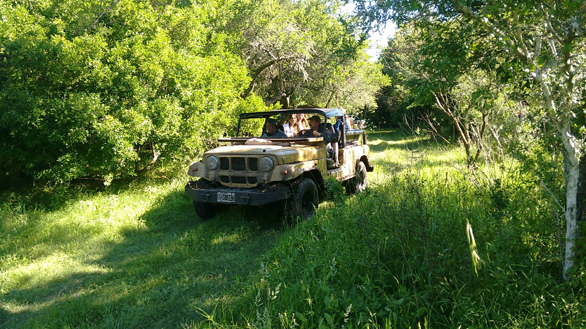 Naturaleza