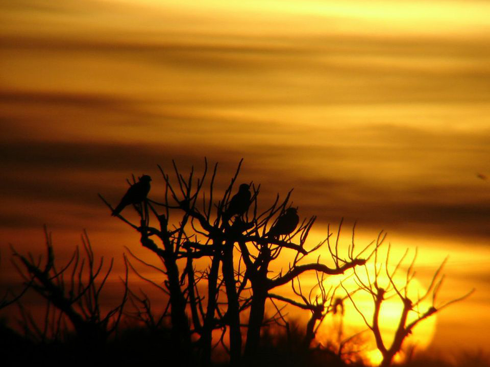 Naturaleza