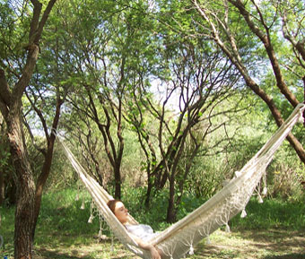 Naturaleza