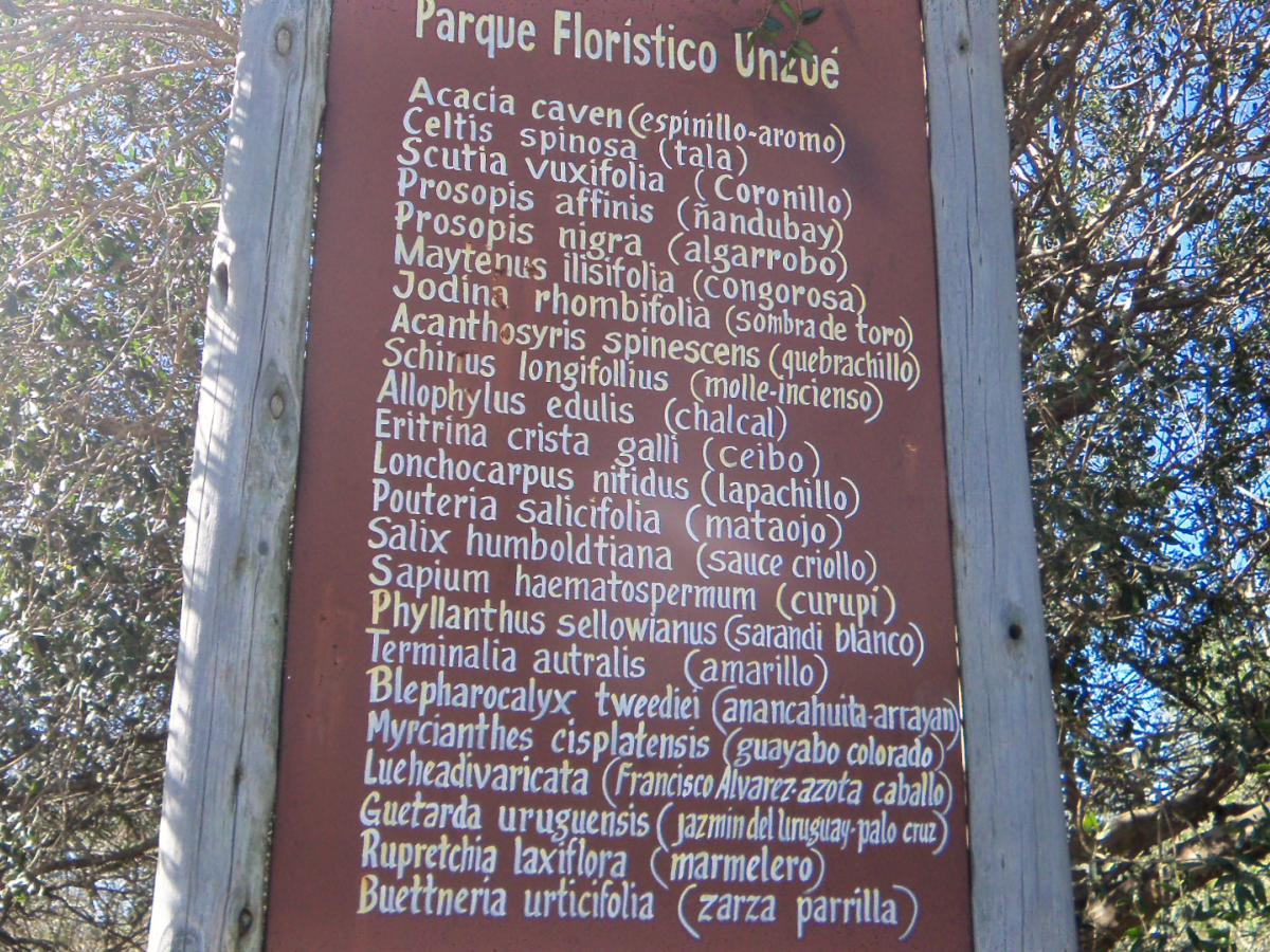 Naturaleza