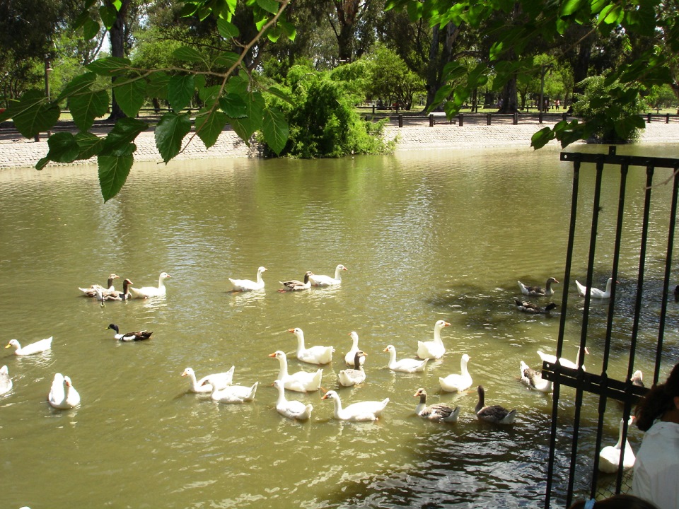 Naturaleza