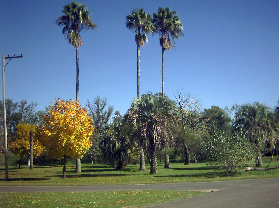 Naturaleza