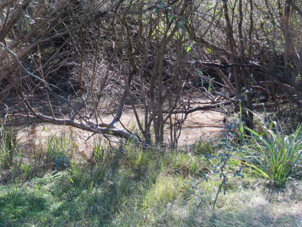 Naturaleza