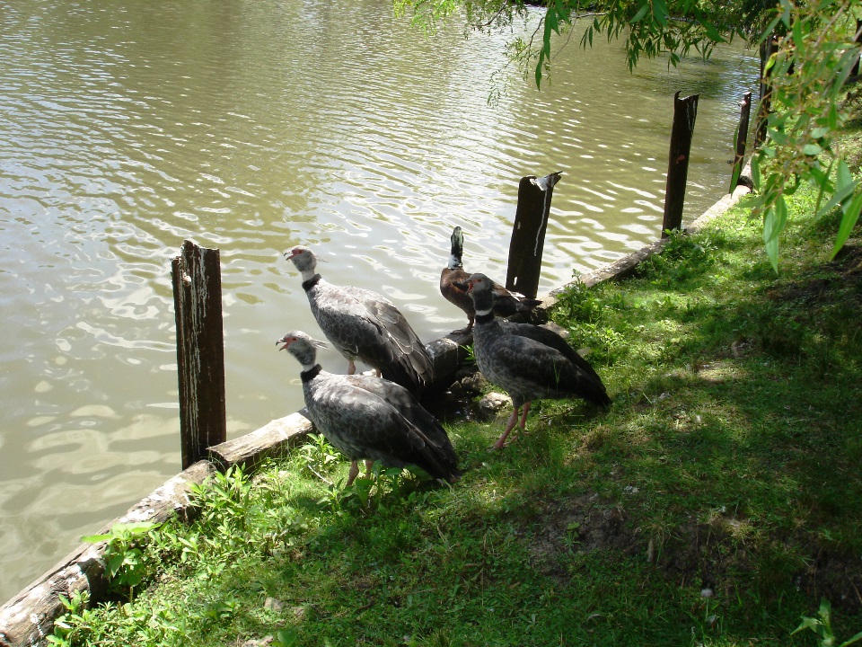 Naturaleza