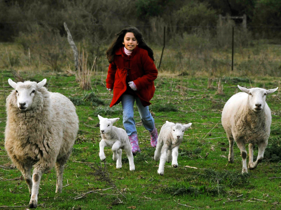 Naturaleza