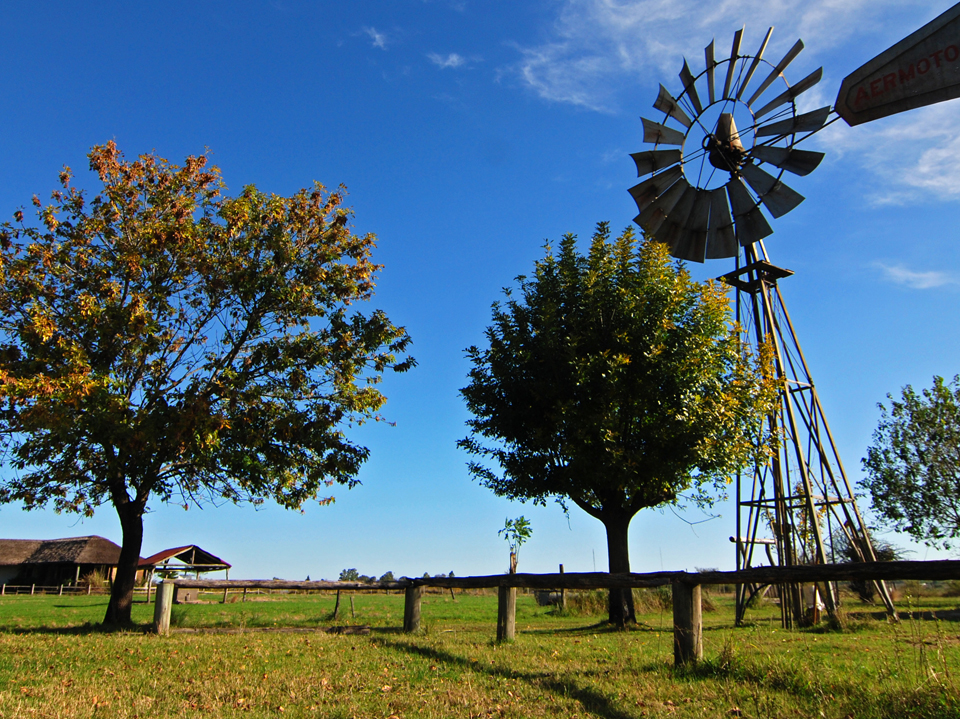 Naturaleza