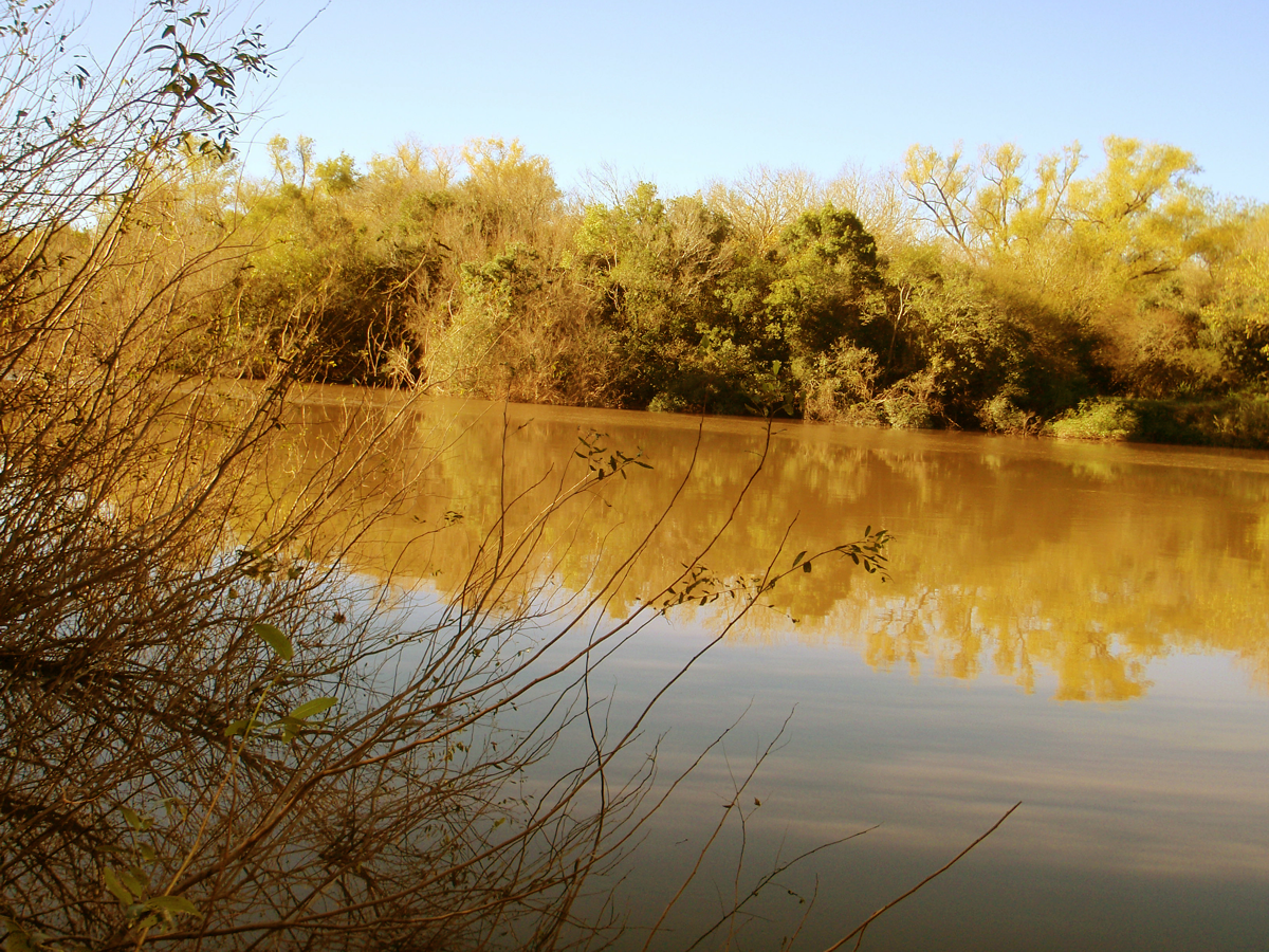 Naturaleza