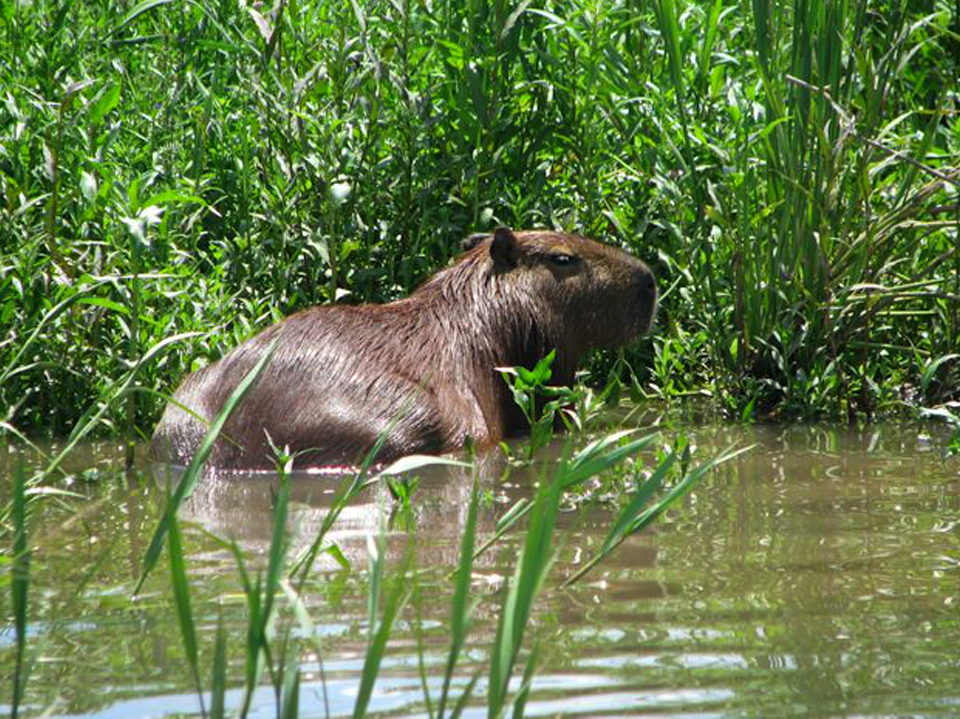 Gualeguaychú Aventura